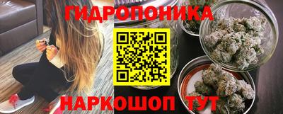 винт Шахты