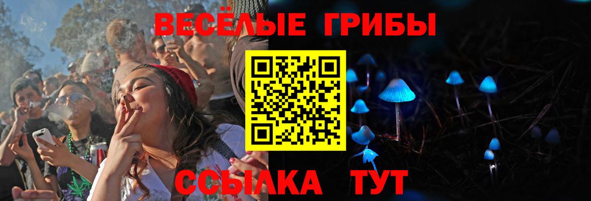 Псилоцибиновые грибы Psilocybe  Вход с VPN  Ростов Великий 